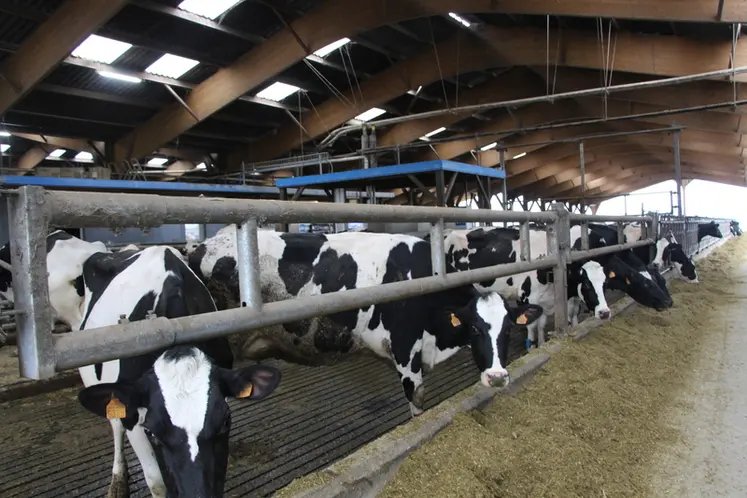 <em class="placeholder">stabulation vaches laitières</em>