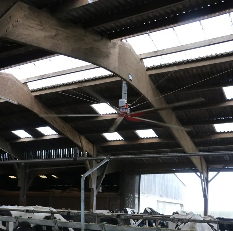 <em class="placeholder">ventilateur à pale horizontale, créant un flux d'air vertical dans une stabulation pour vaches laitières</em>