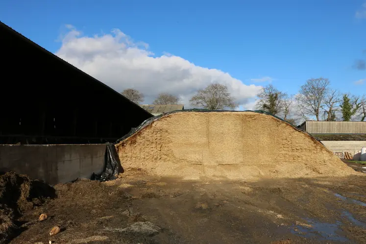 <em class="placeholder">Un silo d'ensilage de maïs</em>