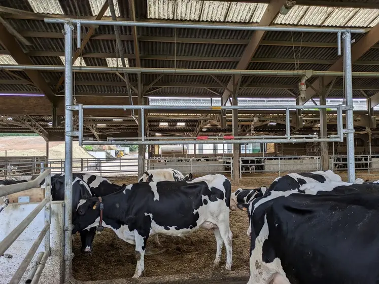 <em class="placeholder">Barrières relevables permettant de séparer l'aire paillée des couloirs bordés par les cornadis en stabulation laitière</em>