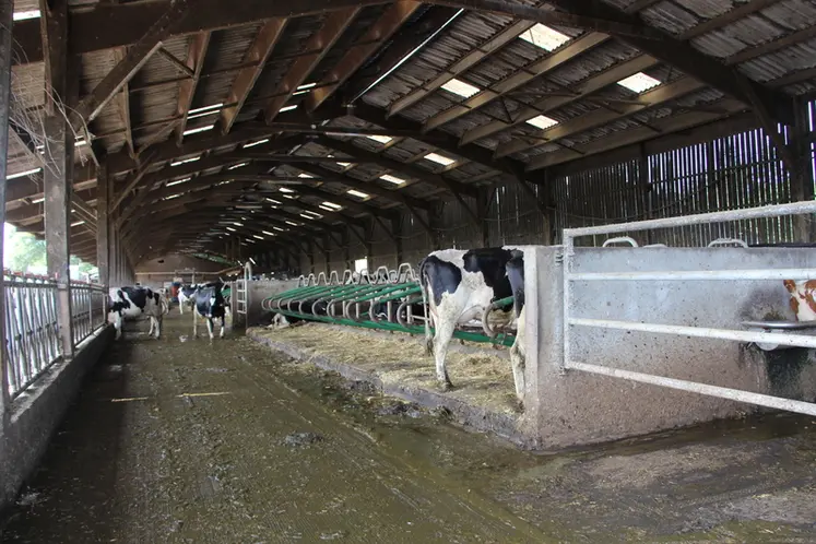 <em class="placeholder">Les éleveurs ne voulant pas de marches pour le confort des vaches, le sol est plat, un point indispensable pour le fonctionnement de l’aspirateur à lisier.</em>