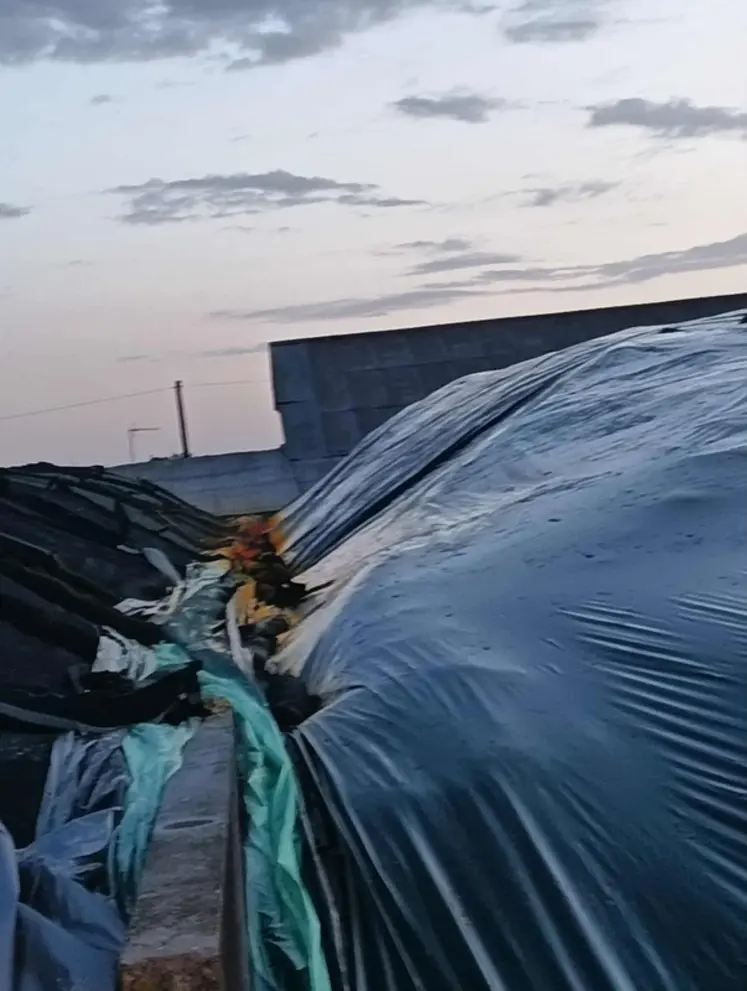 <em class="placeholder">dégagement de gaz toxique au silo</em>