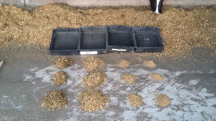 <em class="placeholder">Différentes tailles de brins de fourrage dans la ration des vaches laitières</em>