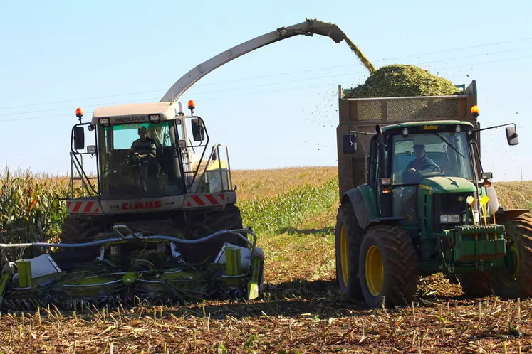 <em class="placeholder">Chantier de récolte du maïs dans le Nord. Moissonneuse et remorque. ensilage. tracteur.</em>
