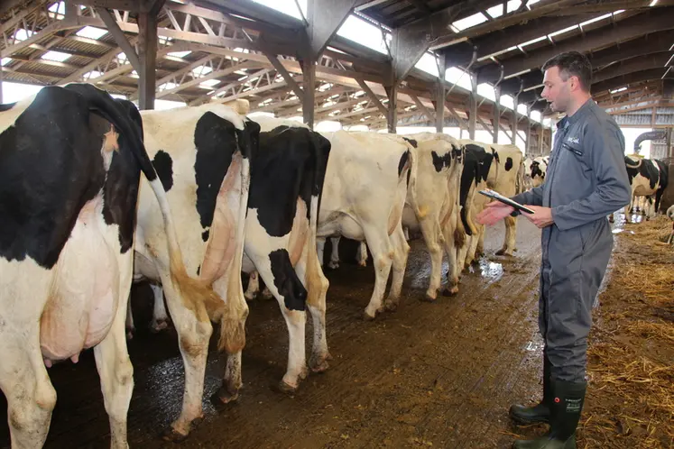 <em class="placeholder">« De 2023 à 2025, la notation des vaches a montré 20% d’amélioration en termes de boiteries, ce qui, à l’échelle du troupeau, représente 6 200 € d’économie ...</em>