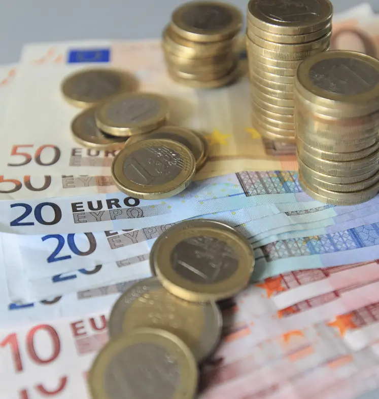 pièces et billets en euros