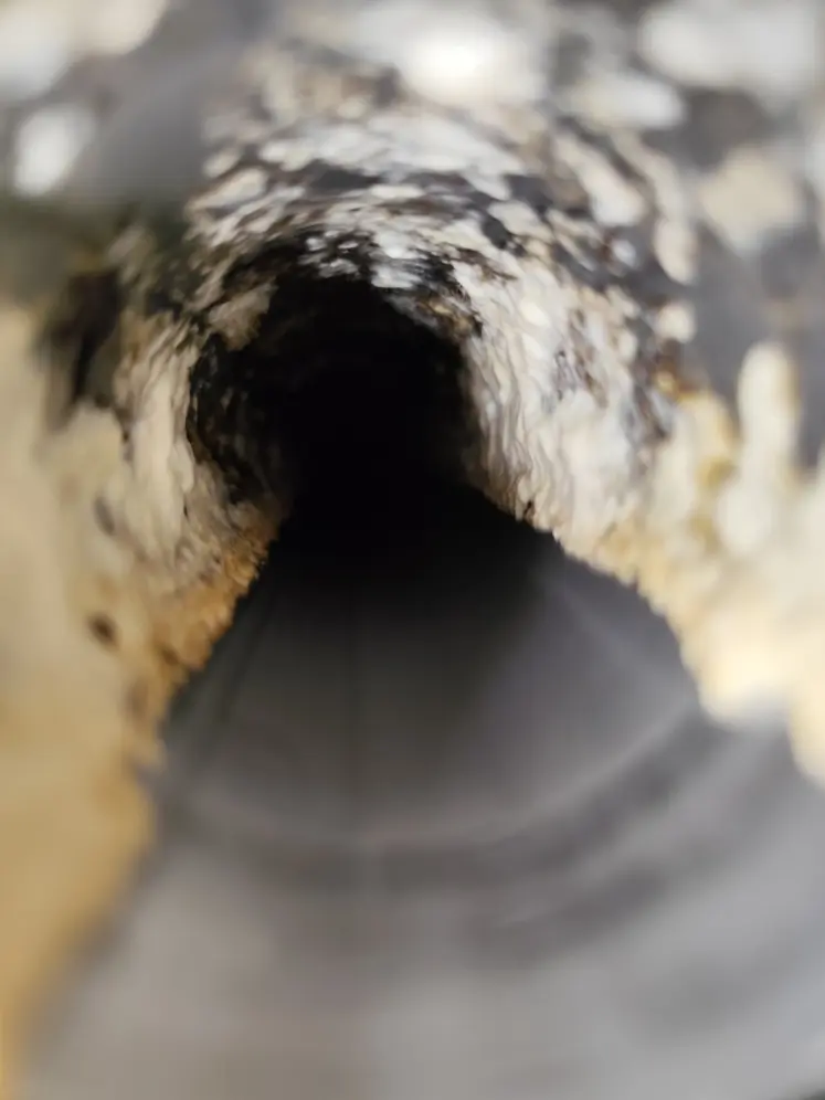 <em class="placeholder">Un défaut de nettoyage du matériel de traite entraîne des dépôts de matière organique et minérale qui encrassent le lactoduc au fil du temps.</em>