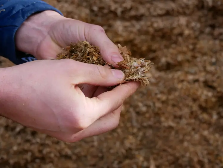 <em class="placeholder">Analyse du maïs ensilage dans un silo de maïs</em>