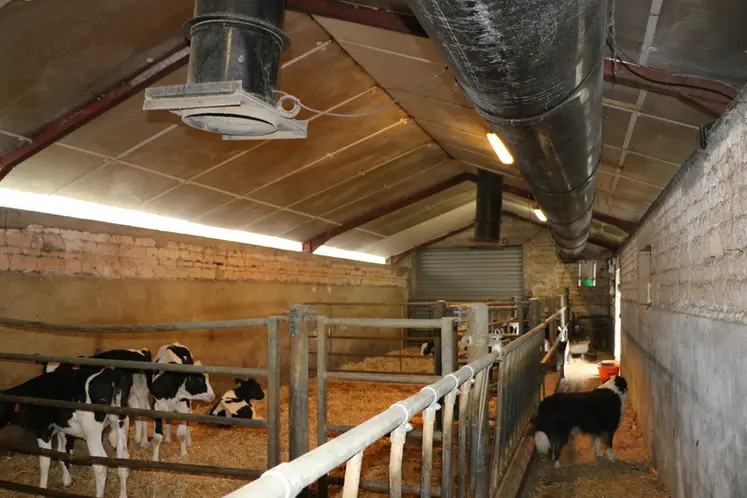 <em class="placeholder">une nurserie isolée et ventilée</em>