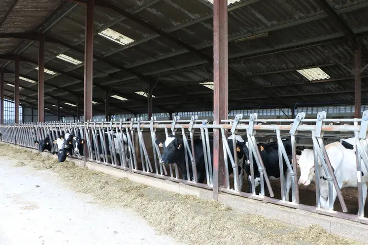 <em class="placeholder">bâtiment des génisses </em>