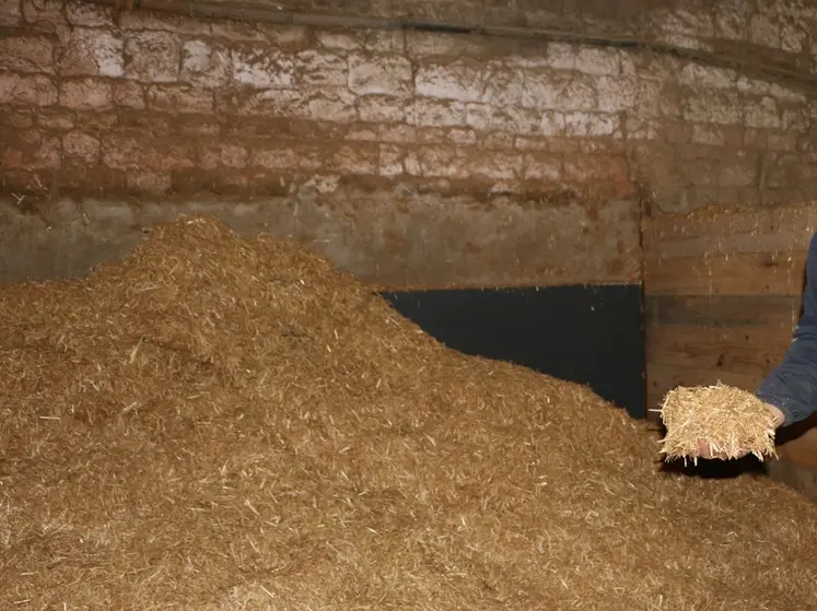 <em class="placeholder">premix, ou pré-mélange de fourrage et concentré, pour les vaches taries</em>