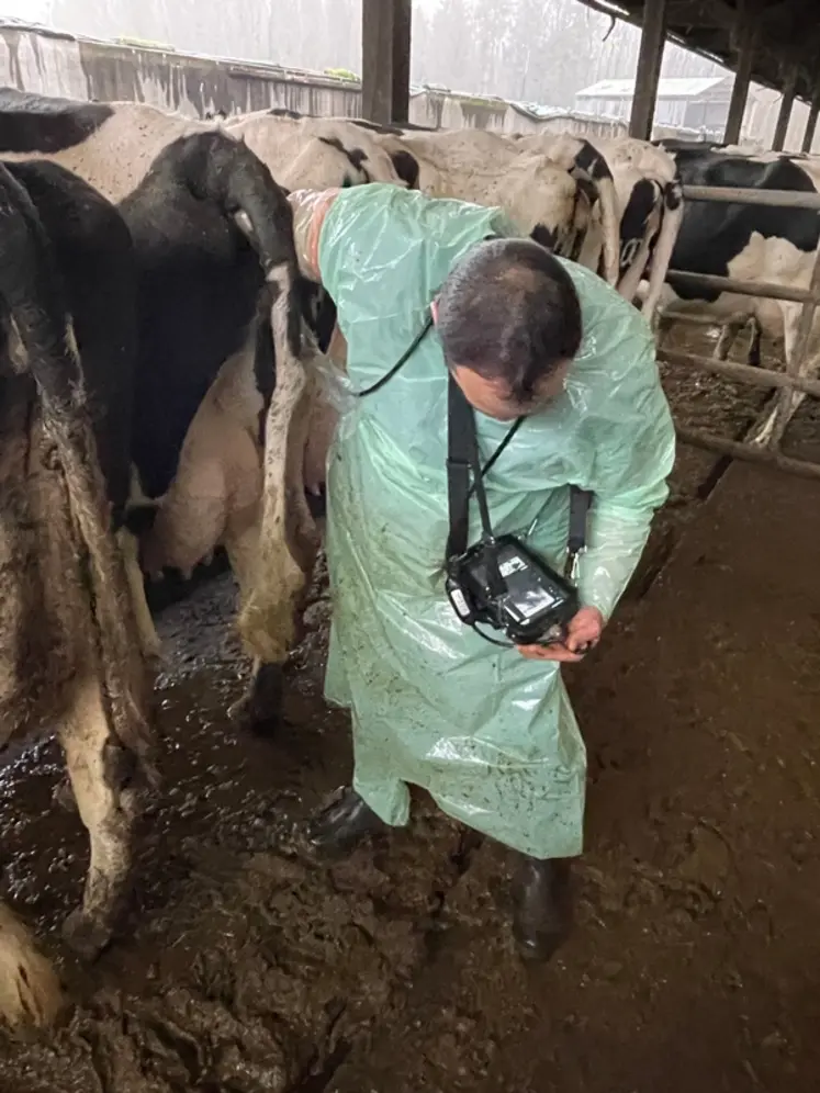 <em class="placeholder">Suite au passage de la FCO, mieux vaut recontrôler les femelles de moins de trois mois de gestation et réaliser des constats d 'aptitude à al repro sur les vaches vides de ...</em>