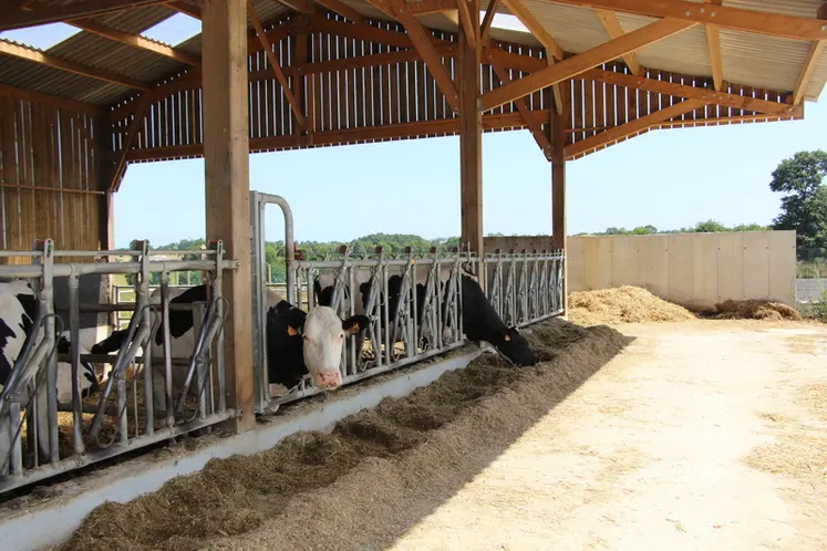 <em class="placeholder">bâtiment dédié aux génisses laitières</em>
