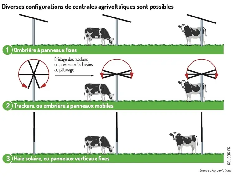 <em class="placeholder">schéma de trois grands types de centrales agrivoltaïques avec des bovins</em>