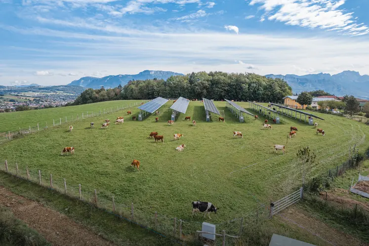 <em class="placeholder">démonstrateur centrale agrivoltaïque Voltalia sur prairie avec des vaches</em>