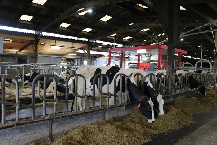 <em class="placeholder">vaches laitières à l'auge</em>