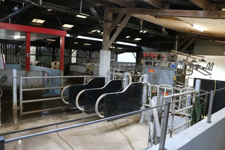 <em class="placeholder">box infirmerie pour vaches laitières</em>