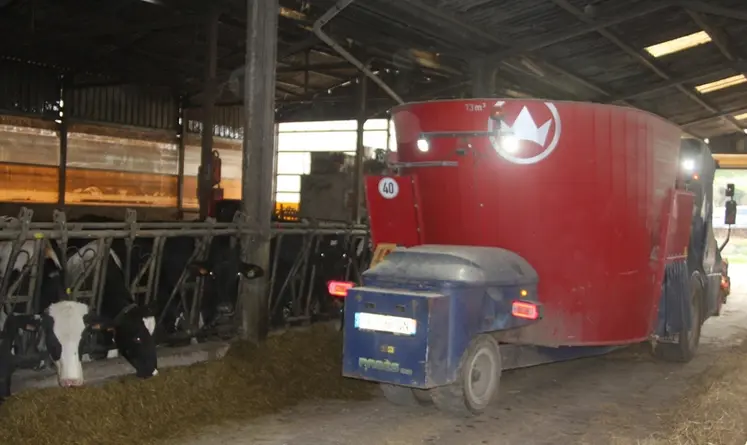 <em class="placeholder">distribution de la ration à l'auge des vaches laitières par une désileuse automotrice en Cuma</em>