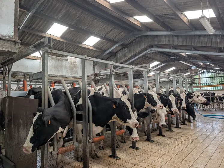 <em class="placeholder">traite des vaches laitières de la ferme expérimentale de Trévarez dans le Finistère</em>