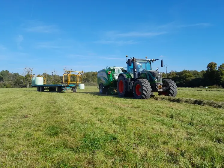 <em class="placeholder">récolte d'herbe d'automne</em>