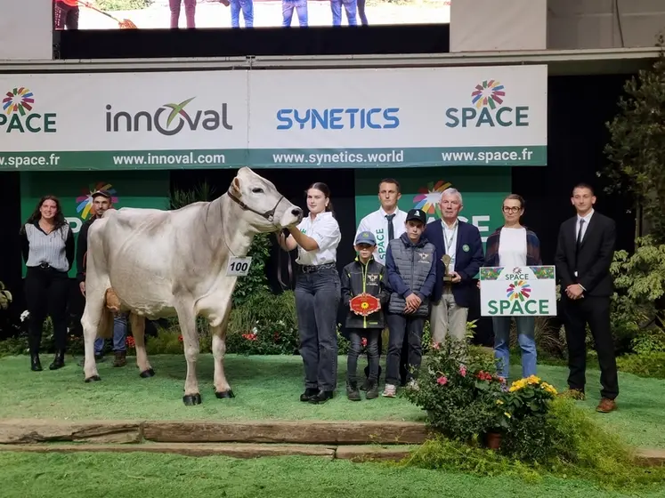 <em class="placeholder">La vache Soparfaite de la Saudraie, du Gaec la saudrai, grande championne du concours Brune au Space 2026.</em>