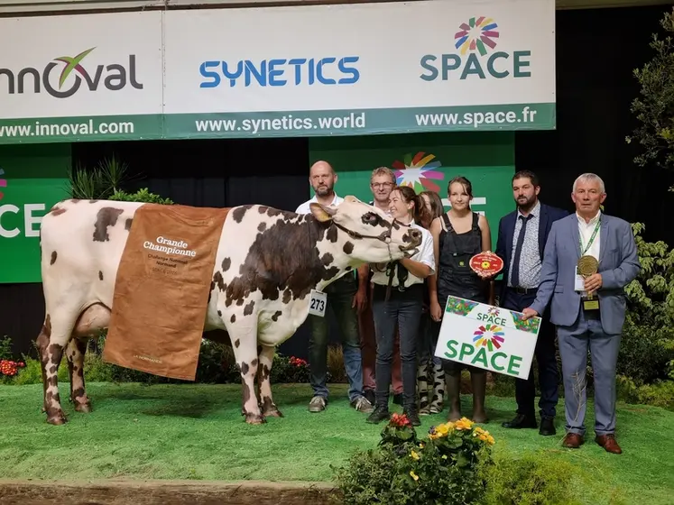 <em class="placeholder">La vache Tac grande championne du concours Normande au Space 2026</em>