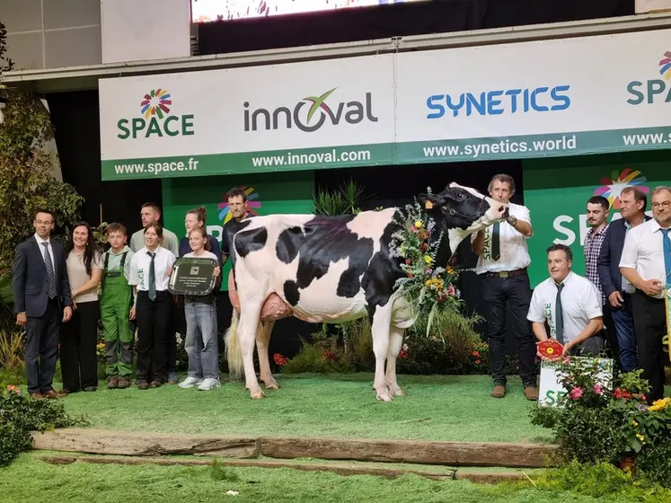 <em class="placeholder">La vache Gaec Robinard Pastèque, grande championne du concours Prim'Holstein au Space 2026 </em>