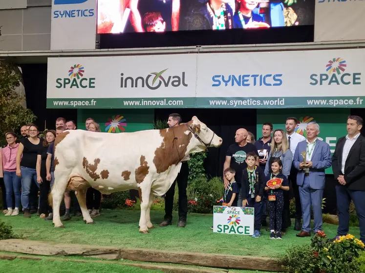 Rihanna, une vache de race montbéliarde, élue Championne suprême du Space 2026