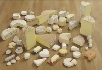 fromages AOP français 