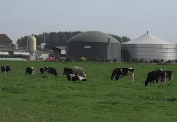 vaches laitières devant un méthaniseur agricole, en Haute-Marne. Archives
