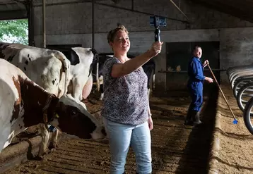 Heleen Lansink-Marissen, éleveuse de 85 laitières, aux Pays-Bas. © DR