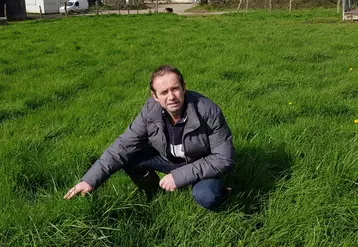 Ludovic Trolard, 235 vaches en bio, en Loire Atlantique. "L'herbe ne manque pas pour impossible de sortir les animaux sur les parcelles à la mi-mars vu les sols sont gorgés d'eau." © DR