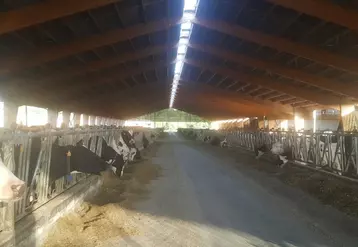 Le projet prévoit la construction sur le site de Houlbec-Cocherel d’une nouvelle stabulation en logettes pour 234 vaches laitières, en complément de celle existante pour 400 vaches.© DR