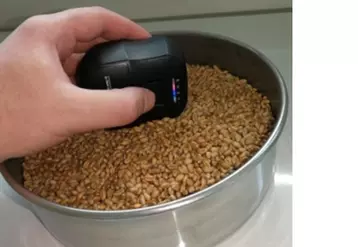 La fiabilité du microcapteur est déjà vérifiée pour du grain.  © Arvalis-Institut du végétal