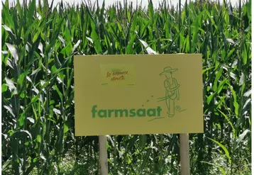 Une trentaine d'agriculteurs partenaires répartis dans la moitié nord de la France distribuent les variétés de maïs Farmsaat. © Farmsaat