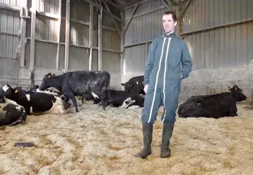 Benoît Rigolle épand des anas de lin sur l'aire de couchage (350 m2) de ses 45 laitières.   © DR