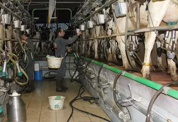 Un des objectifs du projet Cow Forme est d'accompagner les éleveurs laitiers dans leur démarche de recrutement d'un salarié. © F. Mechekour