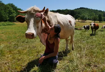 Audrey Thonnat et Olympe. « Si une vache accepte que je la touche, quelle que soit la partie du corps, c’est que la confiance est établie. »