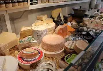 Les fromages AOP se distinguent par une proportion de ventes en commerces spécialisés plus importante (14,1%) que pour les fromages non AOP (4,8%).