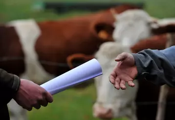 Nos voisins belges et néerlandais cherchent soit des contrats de lait, soit à reprendre en direct des producteurs de lait.