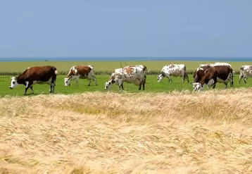 La proximité des exploitations facilite les collaborations entre éleveurs et céréaliers