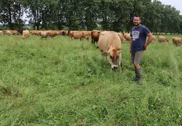 éleveur dans pré avec vaches jersiaises
