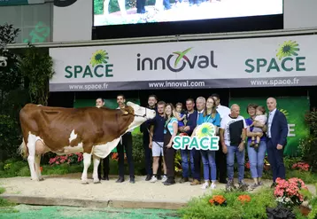Madison, vache montbéliarde sur le podium du Space 2023