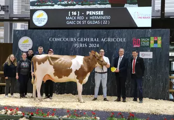 Pensée, grande championne, championne jeune et meilleure mamelle Jeune 