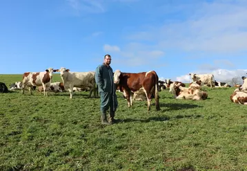 Sylvain Tola, éleveur dans la Loire, et ses vaches montbéliardes au pâturage en mars