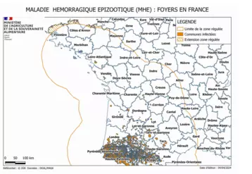 Carte des foyers de MHE en France au 4 avril 2024