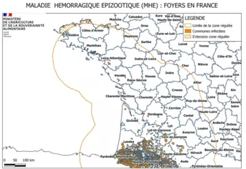 Carte des foyers de MHE en France au 25 avril 2024
