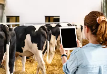 L’objectif de 5G4AGRI est de développer des prototypes expérimentaux pour aboutir à des produits utilisables dans le monde de l’élevage.