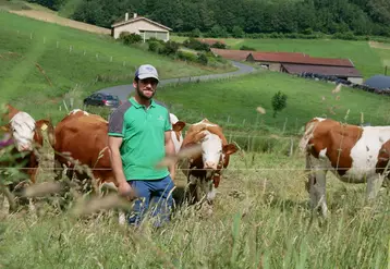 Éleveur de montbéliardes dans le Rhône pâturage de stock sur pied.