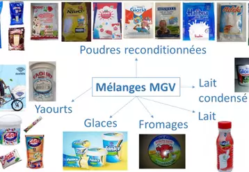 Gamme de produits lactés fabriqués à base de mélange de lait écrémé et de matière grasse végétale en poudre.